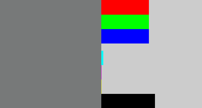 Hex color #777979 - medium grey