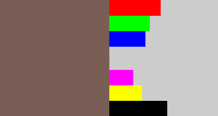 Hex color #785e54 - greyish brown