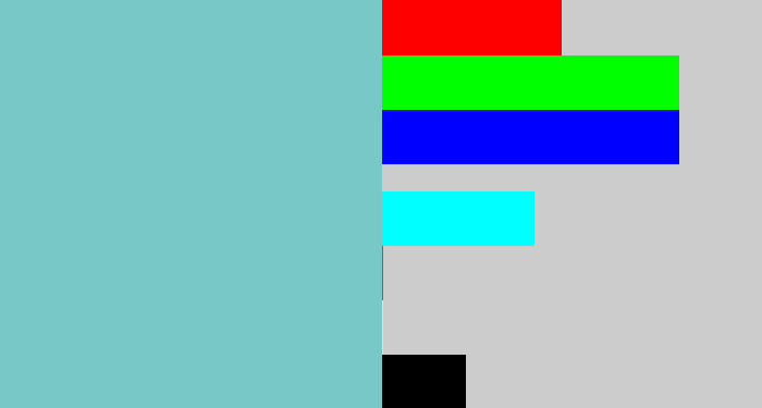 Hex color #78c8c8 - seafoam blue