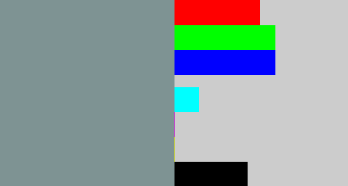Hex color #7e9393 - bluish grey