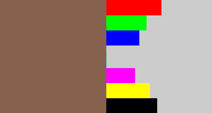 Hex color #85614e - dark taupe