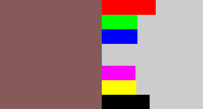 Hex color #865a59 - dark mauve