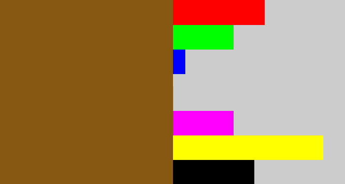 Hex color #875811 - medium brown