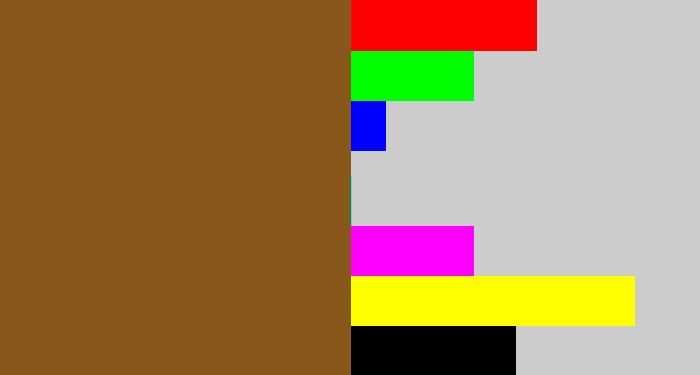 Hex color #88581a - medium brown