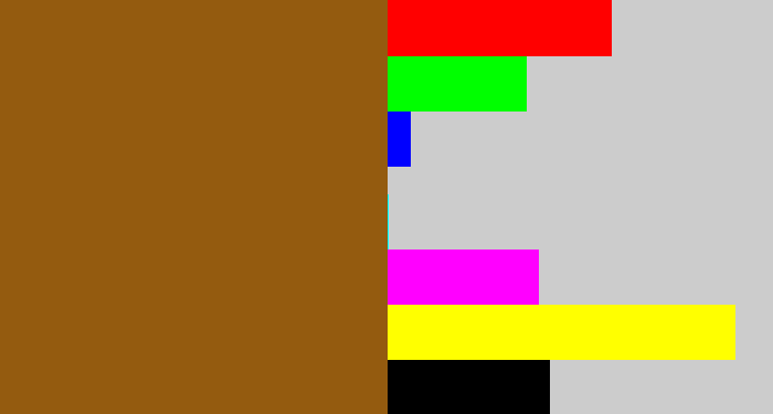 Hex color #945b0f - raw sienna