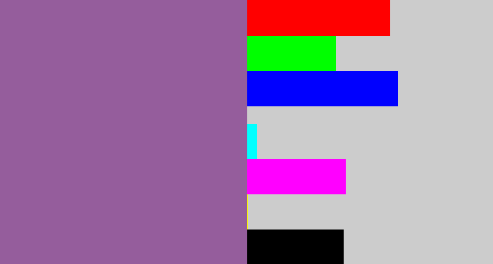 Hex color #955d9c - purpleish