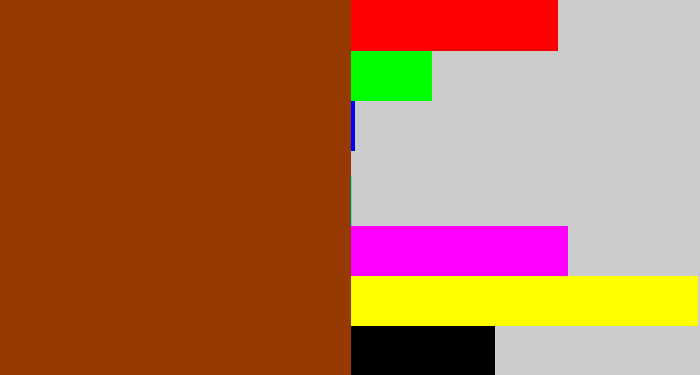 Hex color #973a02 - auburn