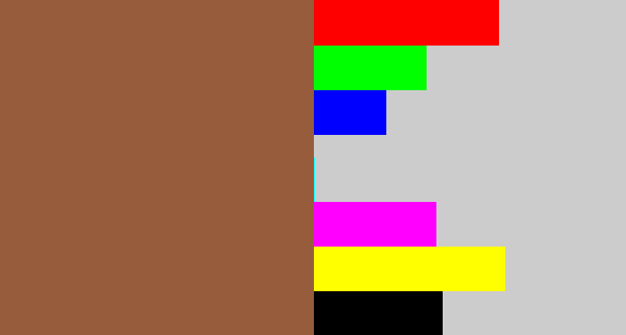 Hex color #975c3b - earth