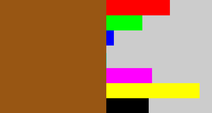 Hex color #985613 - warm brown