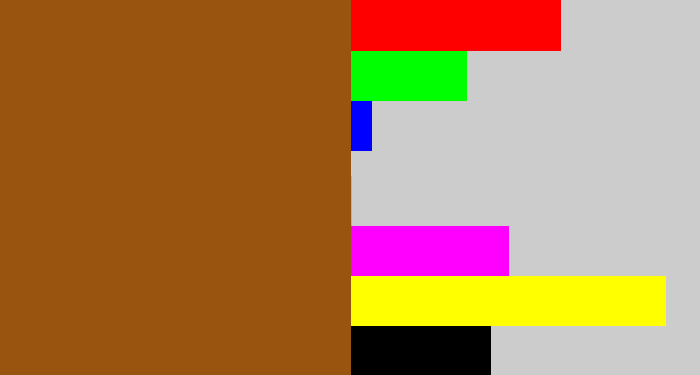 Hex color #99540f - warm brown