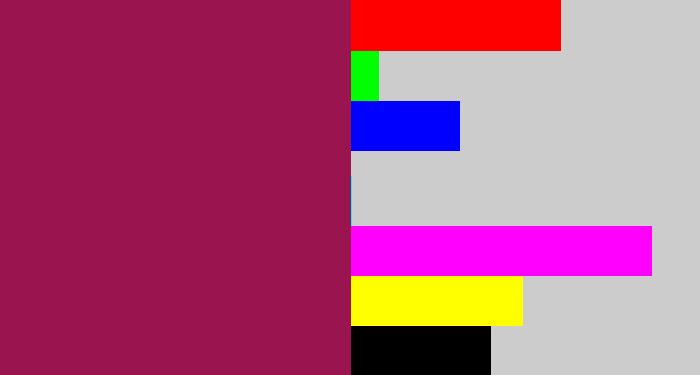 Hex color #9a154f - berry
