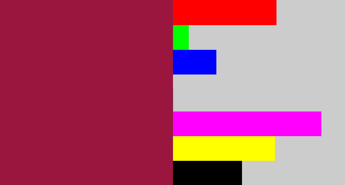 Hex color #9a163f - berry