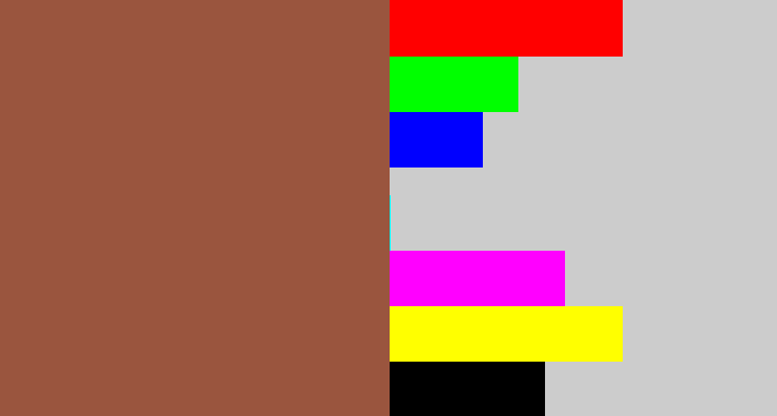 Hex color #9a553e - earth