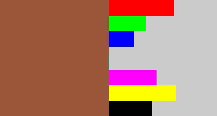 Hex color #9a563b - earth