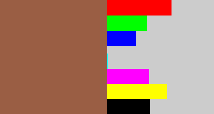 Hex color #9a5e44 - earth