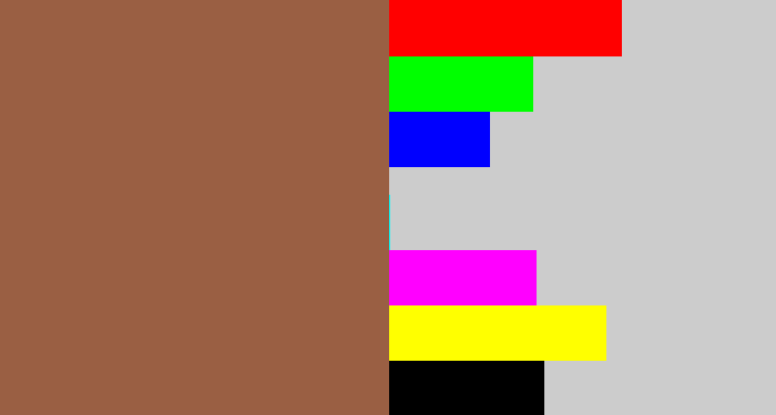 Hex color #9a5f43 - earth