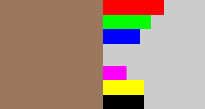 Hex color #9a775d - brownish