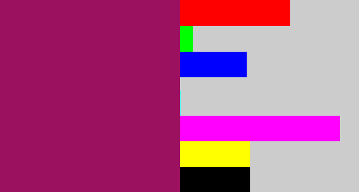 Hex color #9b115f - dark fuchsia