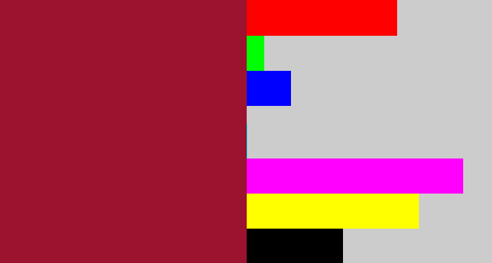 Hex color #9b132f - rouge