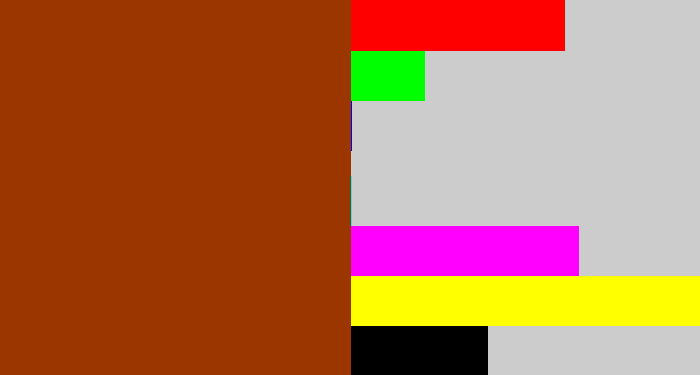 Hex color #9b3600 - auburn
