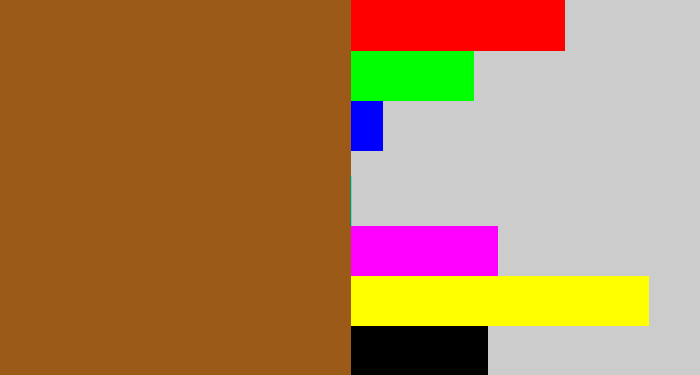 Hex color #9b5a18 - sienna