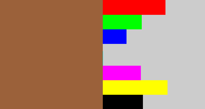 Hex color #9b613a - earth
