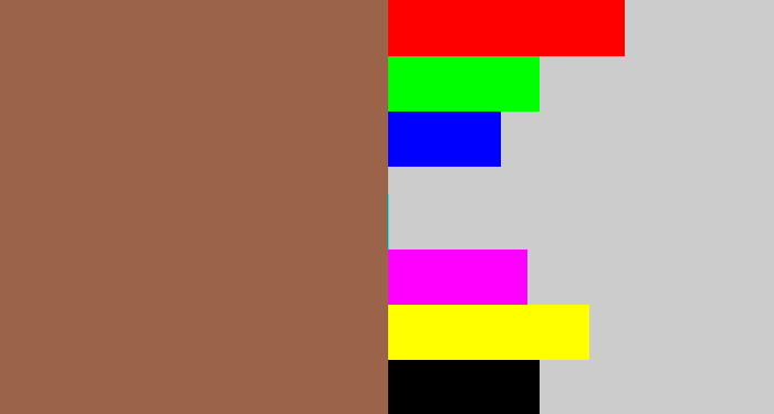 Hex color #9b634a - earth