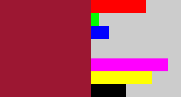 Hex color #9c1732 - rouge