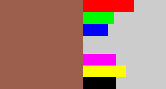 Hex color #9c5f4d - brownish