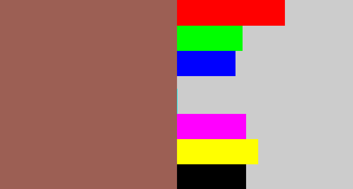 Hex color #9c5f54 - brownish