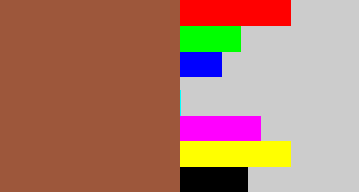 Hex color #9d573b - earth