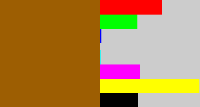 Hex color #9d5e02 - raw sienna