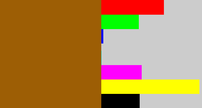 Hex color #9d5e05 - raw sienna