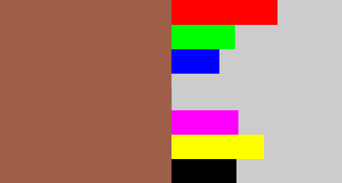 Hex color #9d5f48 - earth