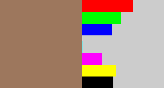 Hex color #9d775d - brownish