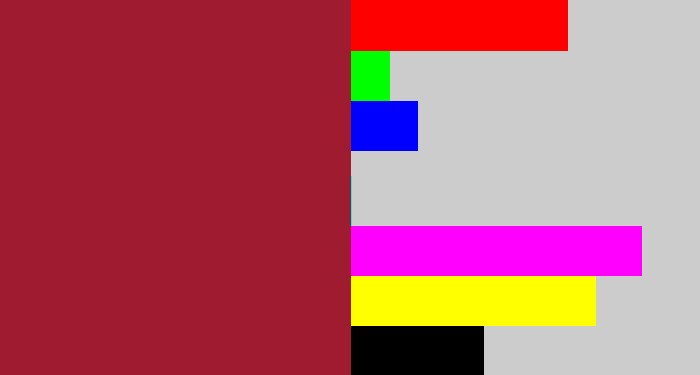 Hex color #9e1b30 - rouge