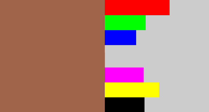 Hex color #9e644c - brownish