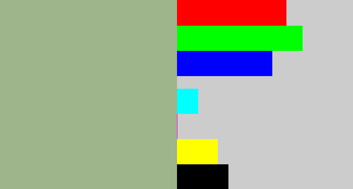 Hex color #9eb48a - greenish grey
