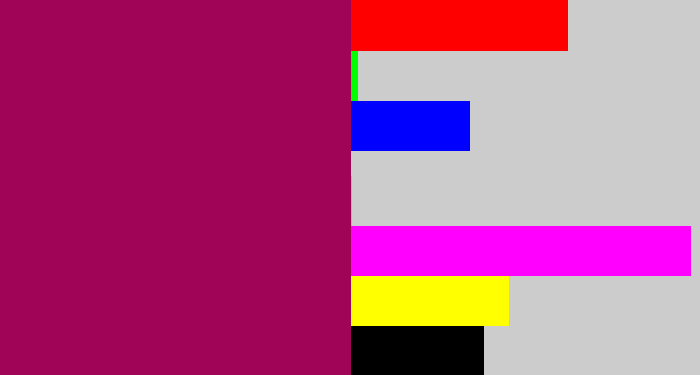 Hex color #9f0457 - dark fuchsia