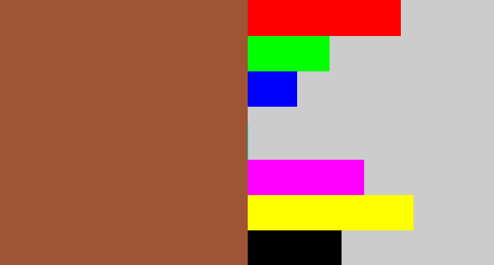 Hex color #9f5434 - sepia