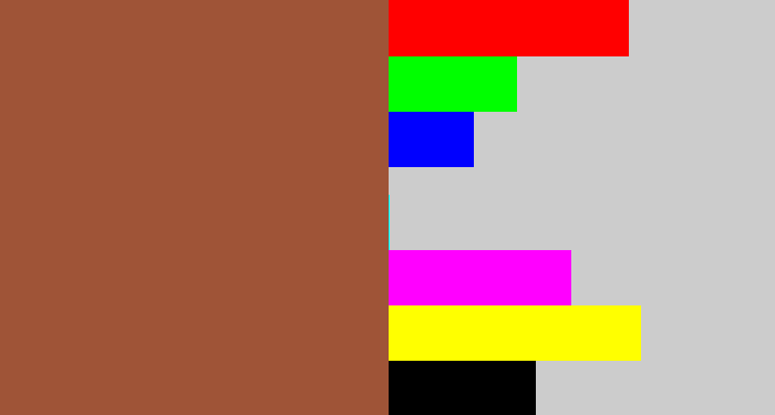 Hex color #9f5437 - sepia