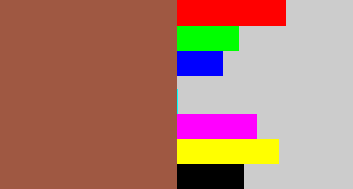 Hex color #9f5842 - earth