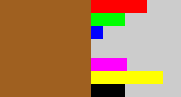 Hex color #9f6020 - sepia
