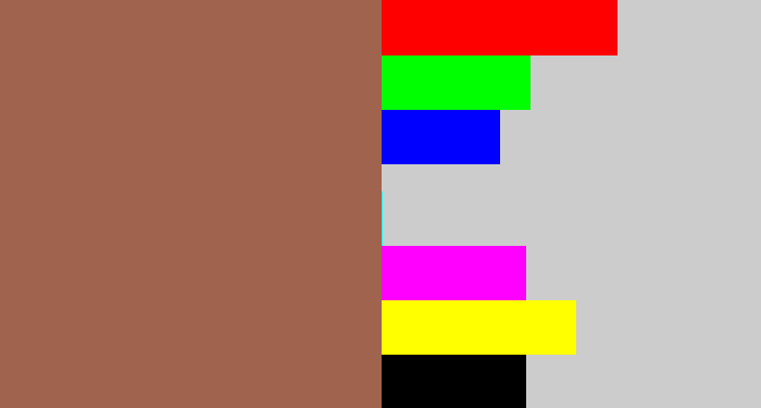 Hex color #9f634e - brownish