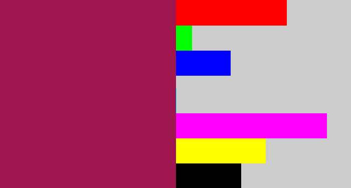 Hex color #a0164f - berry
