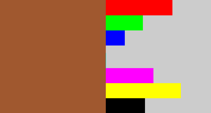 Hex color #a0582f - sepia