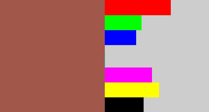 Hex color #a0584d - light maroon