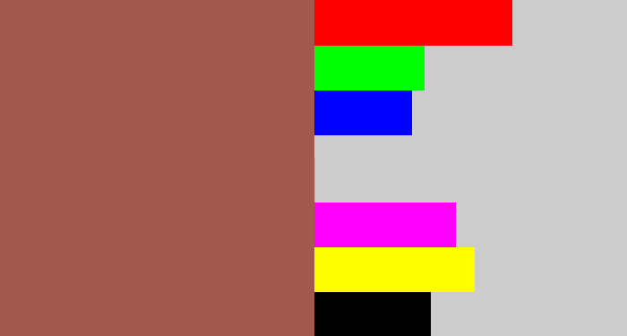 Hex color #a0584f - light maroon