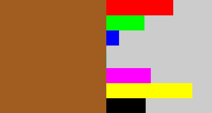 Hex color #a05d1f - sienna