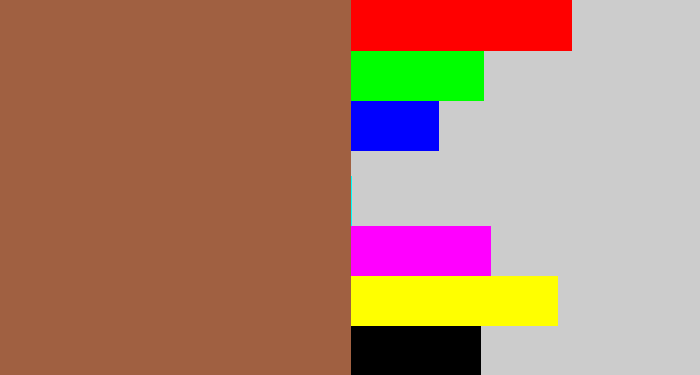 Hex color #a06041 - earth